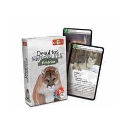 Compra Falomir Desaf. Nat - America + Collector  al mejor precio | Juguetilandia Canarias