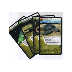 Compra Falomir Desaf. Nat - Reptiles + Collector  al mejor precio | Juguetilandia Canarias