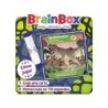 Compra Asmodee Brainbox Dinosaurios al mejor precio | Juguetilandia Canarias
