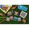 Compra Asmodee Brainbox Dinosaurios al mejor precio | Juguetilandia Canarias