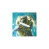 Compra Asmodee Unlock! Escape Adventures al mejor precio | Juguetilandia Canarias