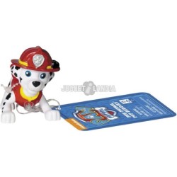 Compra Bizak Paw Patrol Figura Basica -Pup Buddies al mejor precio | Juguetilandia Canarias