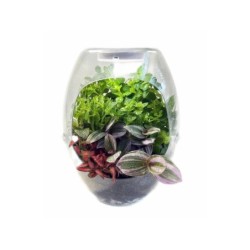 Compra Cefa Botanicefa Plus al mejor precio | Juguetilandia Canarias