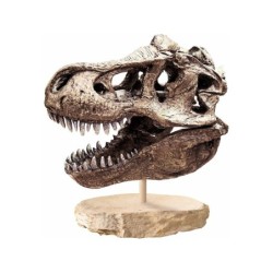 Compra Clementoni Arquejugando Craneo De T-Rex al mejor precio | Juguetilandia Canarias