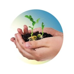 Compra Clementoni Biosfera al mejor precio | Juguetilandia Canarias