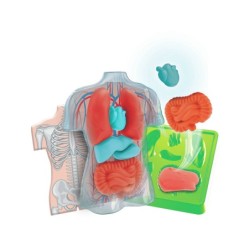 Compra Clementoni Kit Anatomia Squishy Organs al mejor precio | Juguetilandia Canarias