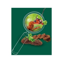 Compra Clementoni La Ciudad De Las Hormigas al mejor precio | Juguetilandia Canarias