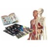 Compra Clementoni Laboratorio De Anatomia al mejor precio | Juguetilandia Canarias