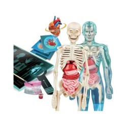 Compra Clementoni Superanatomia al mejor precio | Juguetilandia Canarias