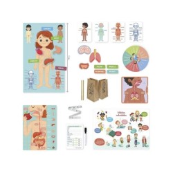 Compra Diset Aprendo En Positivo El Cuerpo Humano al mejor precio | Juguetilandia Canarias