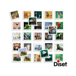 Compra Diset Foto Memo De Animales al mejor precio | Juguetilandia Canarias