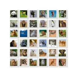 Compra Educa Identic Animals  Maleta al mejor precio | Juguetilandia Canarias