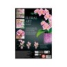 Compra Educa Orquidea Arte Floral al mejor precio | Juguetilandia Canarias