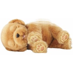 Compra Famosa Little Live Pets Sleepy Puppy al mejor precio | Juguetilandia Canarias
