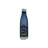 Compra Kids Euroswan Botella Plastico Harry Potter Ravenclaw al mejor precio | Juguetilandia Canarias