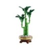 Compra Lego Botanicals Bambu De La Suerte al mejor precio | Juguetilandia Canarias