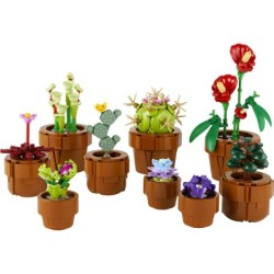 Compra Lego Botanicals Plantas Diminutas al mejor precio | Juguetilandia Canarias