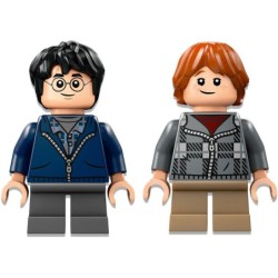 Compra Lego Harry Potter Aragog En El Bosque Prohibido al mejor precio | Juguetilandia Canarias