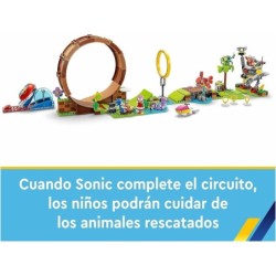 Compra Lego Sonic Sonic: Desafio Del Looping De Green Hill Zone al mejor precio | Juguetilandia Canarias