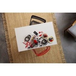 Compra Lego Technic Moto Ducati Panigale V4 S al mejor precio | Juguetilandia Canarias