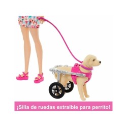 Compra Mattel Barbie Paseadora De Perro Con Silla De Ruedas al mejor precio | Juguetilandia Canarias