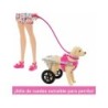 Compra Mattel Barbie Paseadora De Perro Con Silla De Ruedas al mejor precio | Juguetilandia Canarias Compra Mattel Barbie Paseadora De Perro Con Silla De Ruedas al mejor precio | Juguetilandia Canarias