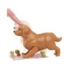 Compra Mattel Barbie Perritos Recien Nacidos Rubia al mejor precio | Juguetilandia Canarias Compra Mattel Barbie Perritos Recien Nacidos Rubia al mejor precio | Juguetilandia Canarias