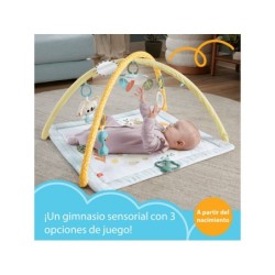 Compra Mattel Fisher Gimnasio Infantil Despiertoa Tus Sentidos al mejor precio | Juguetilandia Canarias