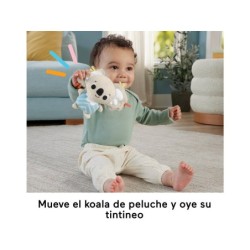 Compra Mattel Fisher Gimnasio Infantil Despiertoa Tus Sentidos al mejor precio | Juguetilandia Canarias
