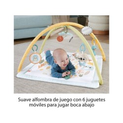 Compra Mattel Fisher Gimnasio Infantil Despiertoa Tus Sentidos al mejor precio | Juguetilandia Canarias