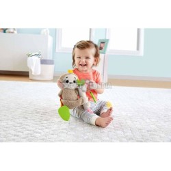 Compra Mattel Fisher Price Oso Perezoso Activity al mejor precio | Juguetilandia Canarias