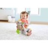 Compra Mattel Fisher Price Oso Perezoso Activity al mejor precio | Juguetilandia Canarias