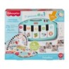 Compra Mattel Fisher-Price Kick &Amp Play Alfombra Con Piano Con Luces Y Sonidos al mejor precio | Juguetilandia Canarias