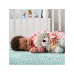Compra Mattel Fisher-Price Nutria Hora De Dormir al mejor precio | Juguetilandia Canarias