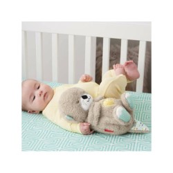 Compra Mattel Fisher-Price Nutria Hora De Dormir al mejor precio | Juguetilandia Canarias