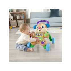 Compra Mattel Fisher-Price Rie Y Aprende Andador Perrito Primeros Pasos al mejor precio | Juguetilandia Canarias