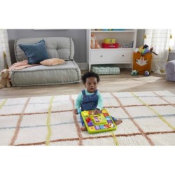 Compra Mattel Fisher-Price Rie Y Aprende Perrito Tablero De Actividades al mejor precio | Juguetilandia Canarias
