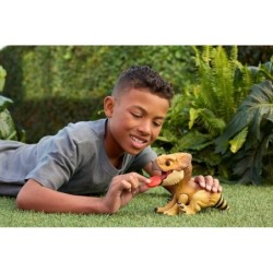 Compra Mattel Jurassic World Dinosaurio Interactivo Aquilops al mejor precio | Juguetilandia Canarias