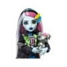 Compra Mattel Monster High Frankie Stein al mejor precio | Juguetilandia Canarias