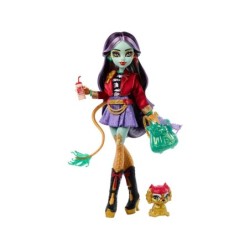Compra Mattel Monster High Muñeca Jinafire al mejor precio | Juguetilandia Canarias
