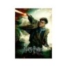 Compra Ravensburger Puzzle 100 Xxl Harry Potter al mejor precio | Juguetilandia Canarias