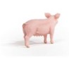 Compra Schleich Cerdo al mejor precio | Juguetilandia Canarias Compra Schleich Cerdo al mejor precio | Juguetilandia Canarias