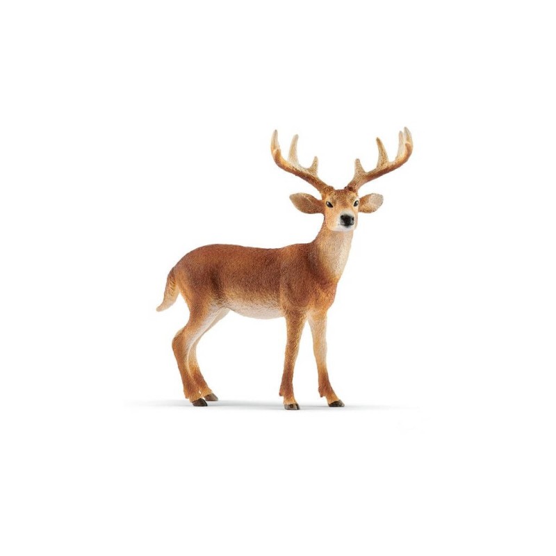 Compra Schleich Ciervo De Cola Blanca Macho al mejor precio | Juguetilandia Canarias
