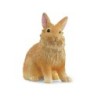 Compra Schleich Conejo Cabeza De León al mejor precio | Juguetilandia Canarias Compra Schleich Conejo Cabeza De León al mejor precio | Juguetilandia Canarias