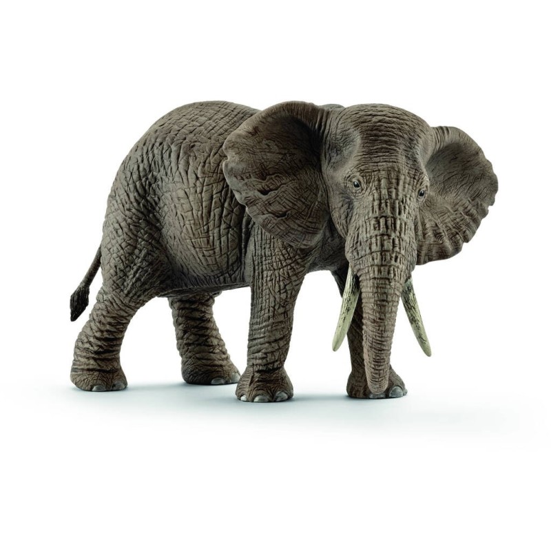 Compra Schleich Elefante Africano Hembra al mejor precio | Juguetilandia Canarias Compra Schleich Elefante Africano Hembra al mejor precio | Juguetilandia Canarias