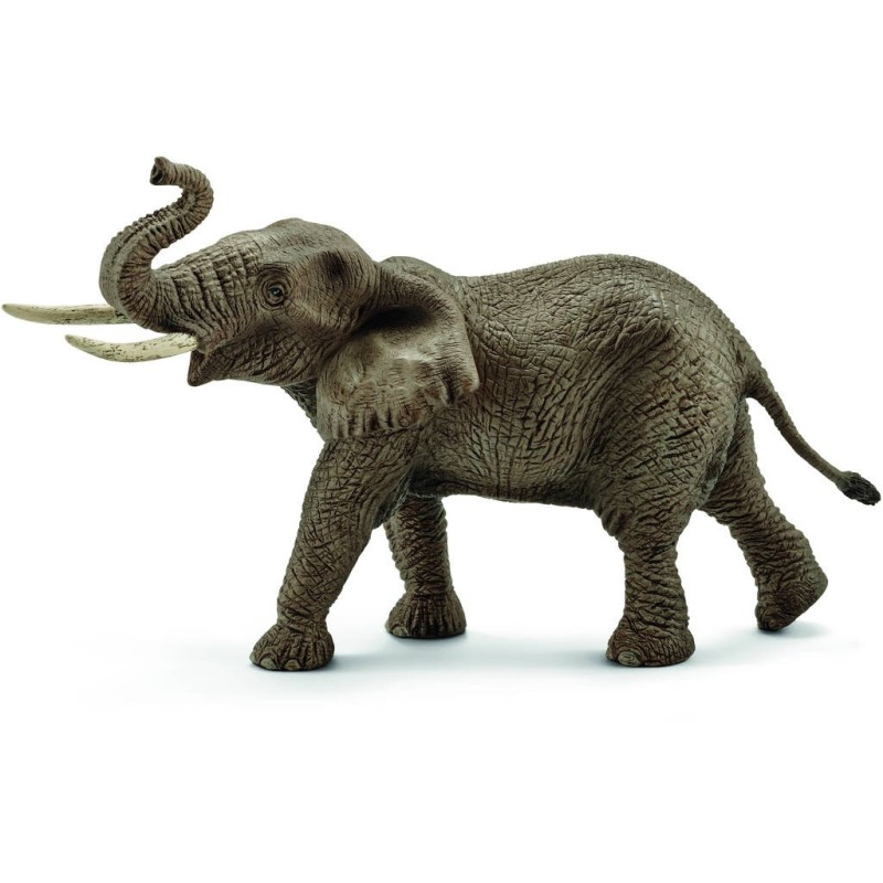 Compra Schleich Elefante Africano Macho al mejor precio | Juguetilandia Canarias Compra Schleich Elefante Africano Macho al mejor precio | Juguetilandia Canarias