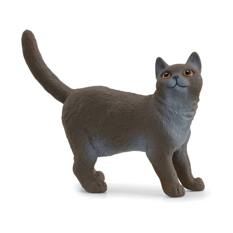 Compra Schleich Gato Britanico De Pelo Corto al mejor precio | Juguetilandia Canarias