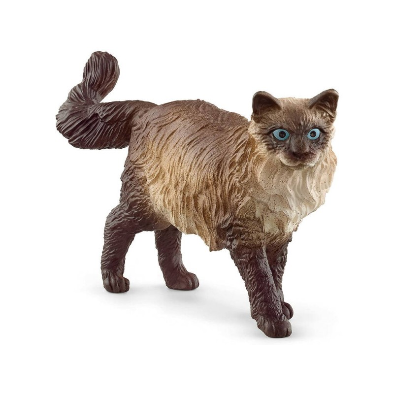 Compra Schleich Gato Ragdoll al mejor precio | Juguetilandia Canarias Compra Schleich Gato Ragdoll al mejor precio | Juguetilandia Canarias