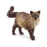 Compra Schleich Gato Ragdoll al mejor precio | Juguetilandia Canarias Compra Schleich Gato Ragdoll al mejor precio | Juguetilandia Canarias
