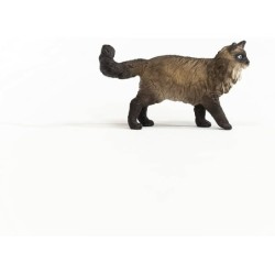 Compra Schleich Gato Ragdoll al mejor precio | Juguetilandia Canarias